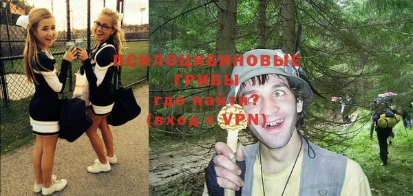 амф Алексин