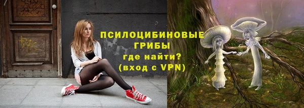 амф Алексин