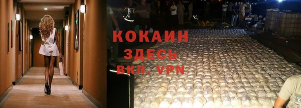 jwh Алзамай