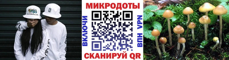 наркотики Муравленко Псилоцибиновые грибы мицелий