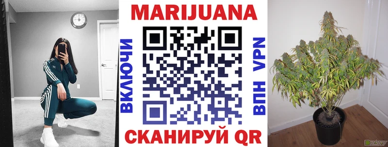 Бошки Шишки гибрид Муравленко